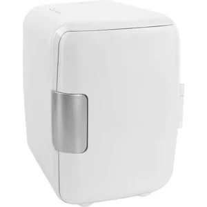 Mobiele Mini Koelkast - Frigobox 220/12 Volt AC/DC Auto/Caravan/Camping - Minibar - Mini Koelkast 4 Liter